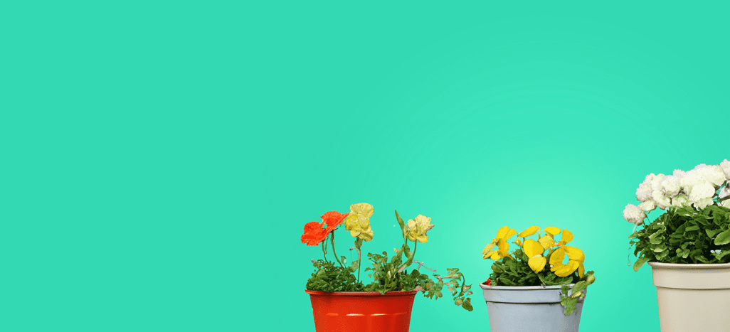 hot tub shop liquidation